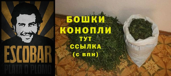 стаф Баксан