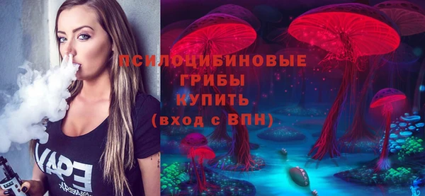 гашик Балабаново