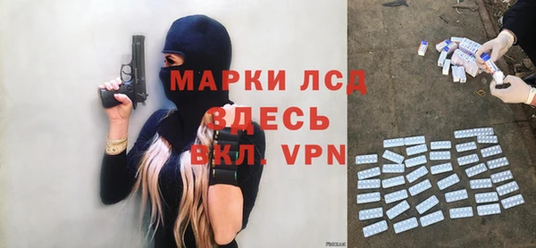 стаф Баксан