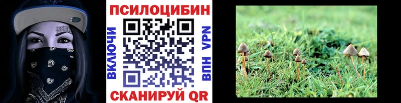 Псилоцибиновые грибы ЛСД Новый Оскол